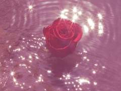 불완전한 환락-3