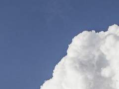 ののやま 彗星 | 1年 | 8組