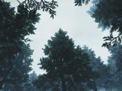 [카게야마 중심] 황금부수비: 3