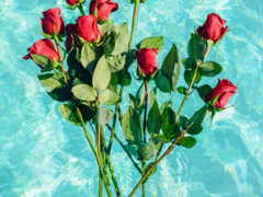 [뷔진] 바람직한 호구연애 完