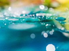 세 번째 가을, 120시간