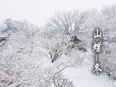 [BL] 산나비 - 겨울 #19