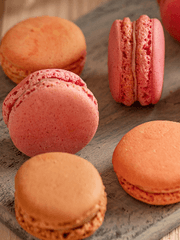 자캐 세계관 (커뮤 및 오리지널)