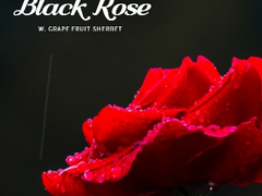 2. 깊은 심장의 울림까지도