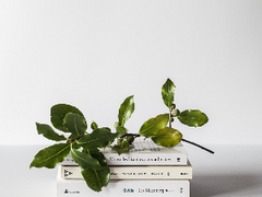 7. 2 디.페스타 최종 인포