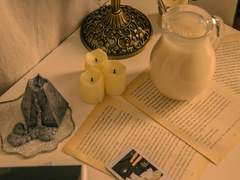 12月09日: 노란색 국화