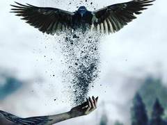 날개가 부러진 새.