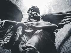 [레귤해리] 바라보다가 죽어도 좋겠다고 너를,