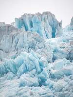 개살구와 물만두