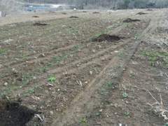 [NCT] 씨밭 : 무엇이든 심어드려요! 1