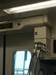 전지적 독자 시점