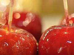 이류 / 무늬다람쥐 영물 / 528