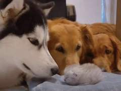 하루가 여주로 굴러가는 셋 보고싶다 ++