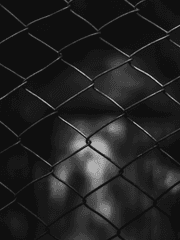 김별아의 죄수 생활