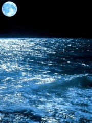 [주술회전]너희를 지키기 위해 시리즈