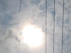 짧지만 찬란했던.금방 나락으로 떨어져버린.