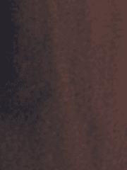 소피아 지오넬리 로그 백업