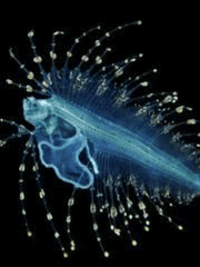 쌍쌍바먹고싶다