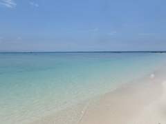 주술회전 상황문답