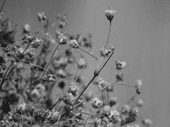 커뮤 러닝 리스트