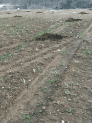 씨밭: 무엇이든 심어드려요!