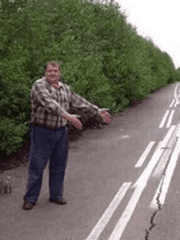 내가 이런 것도 했어요