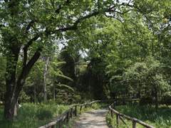 내가 자처한 건 다 이유가 있어