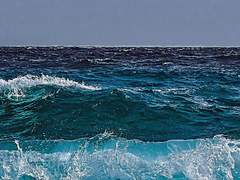 난월량 ◈ XX ◈ 28