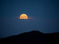 하현이 보름에게 보낼 편지.