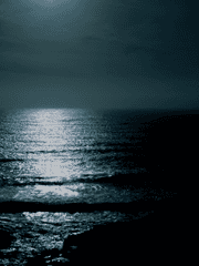 [히로아카]올마가 들어간 글