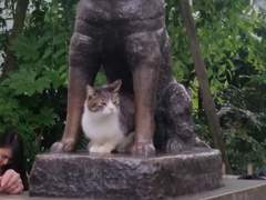 도쿄 여행 사진