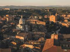 안젤라 아넬리 / アンジェラ・アネッリ