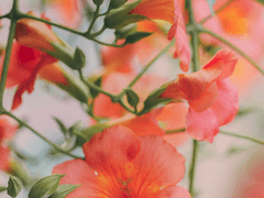 어쩌면 이 더위는 날씨 때문이 아닌⋯.