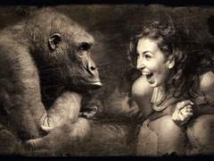 술 마시는 족발집 원숭이