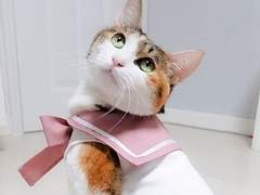 127막내 김여주 모먼트 EP.30-2💘