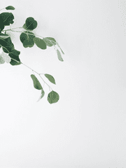 백망되_최한알베_주인공