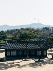 부마, 신(新)하고 참(慘)하다