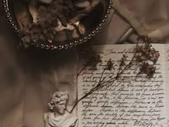 유성우가 쏟아지는 밤,