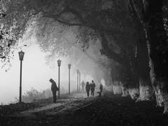 나는 이렇게 굴 수 밖에 없어서.