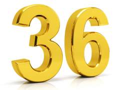 [공지] 안녕하세요 마틴입니다 (포스팅 주기 공지)