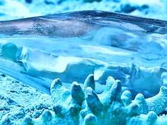 소원다라/2학년/XX