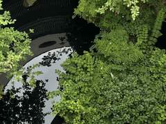 여름날 나는 늘 천국이 아니고*