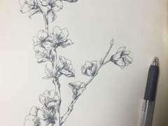 ★축★취★뽀★