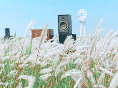 판소리소년과 세봉리