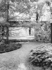 Hoggy Warty Hogwarts