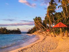 [까오업] West Coast Love