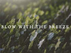Blow With the Breeze