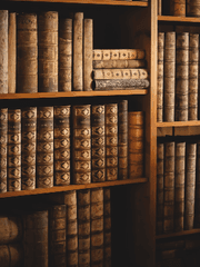 도시 관찰 일지