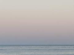 나는 마치 작년 여름의 내가 기억이라도 잃은 듯하다