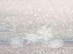 [논커플링/현대팀/단편] 에필로그